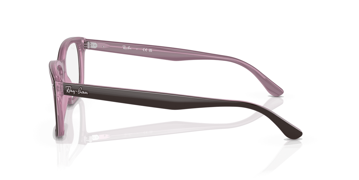 [Clear Lenses, Polished Brown On Pink Frame]