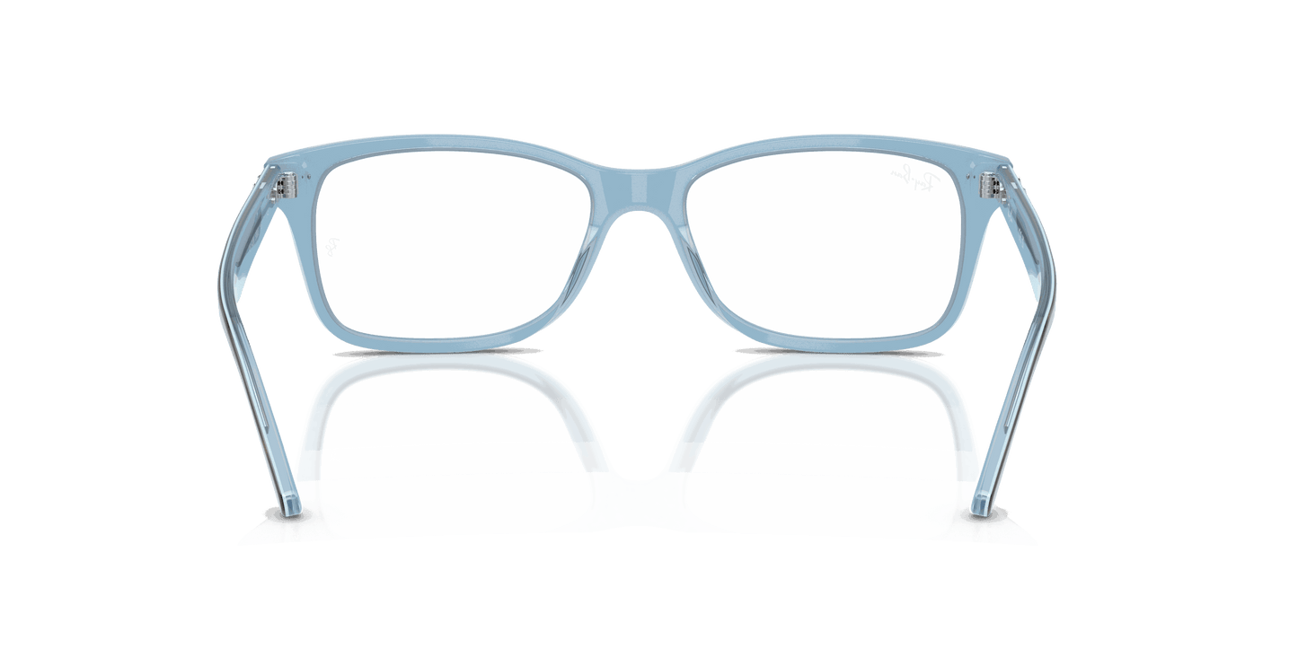 [Clear Lenses, Polished Havana On Light Blue Frame]