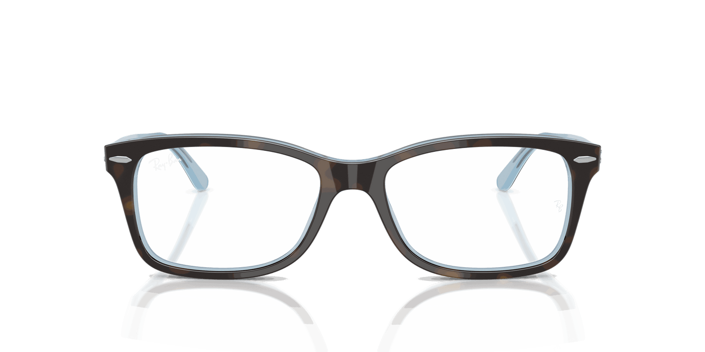 [Clear Lenses, Polished Havana On Light Blue Frame]