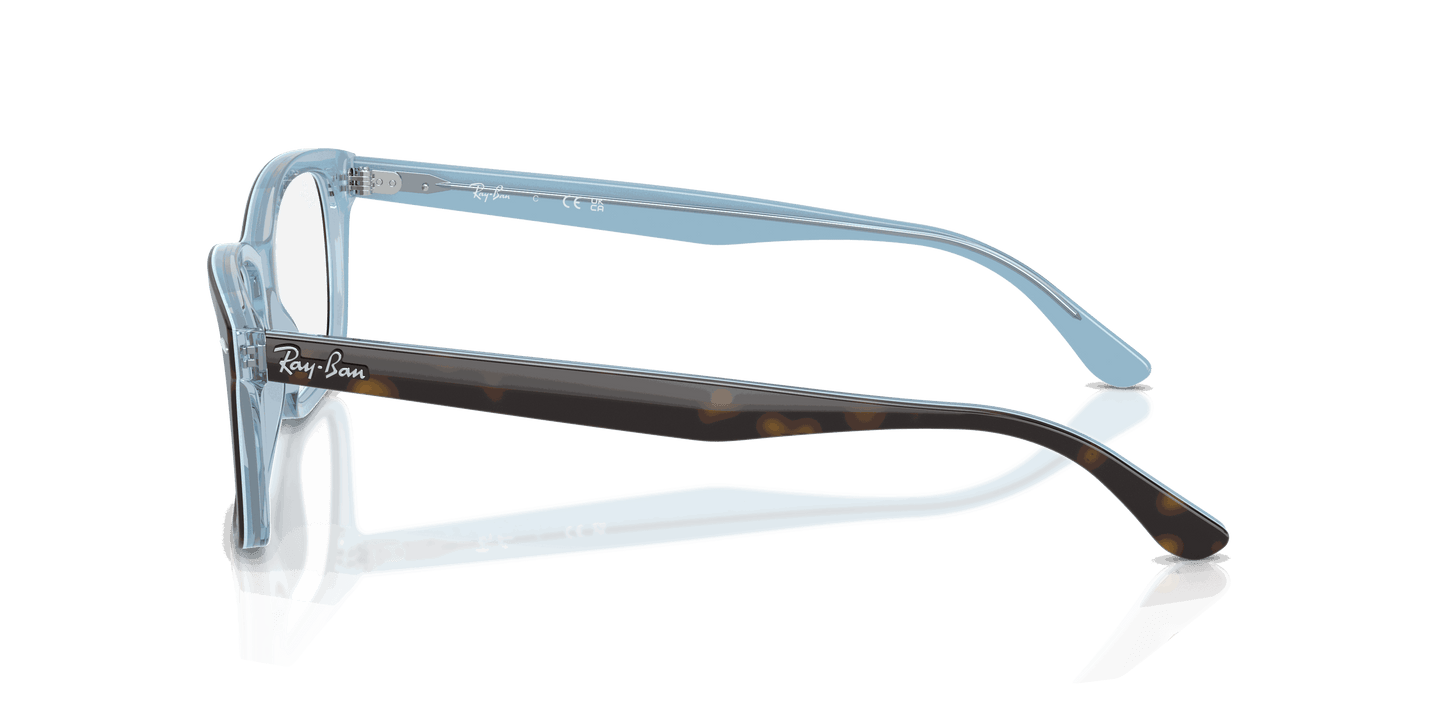 [Clear Lenses, Polished Havana On Light Blue Frame]