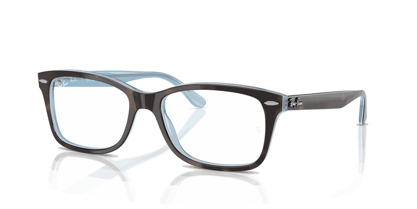 [Clear Lenses, Polished Havana On Light Blue Frame]