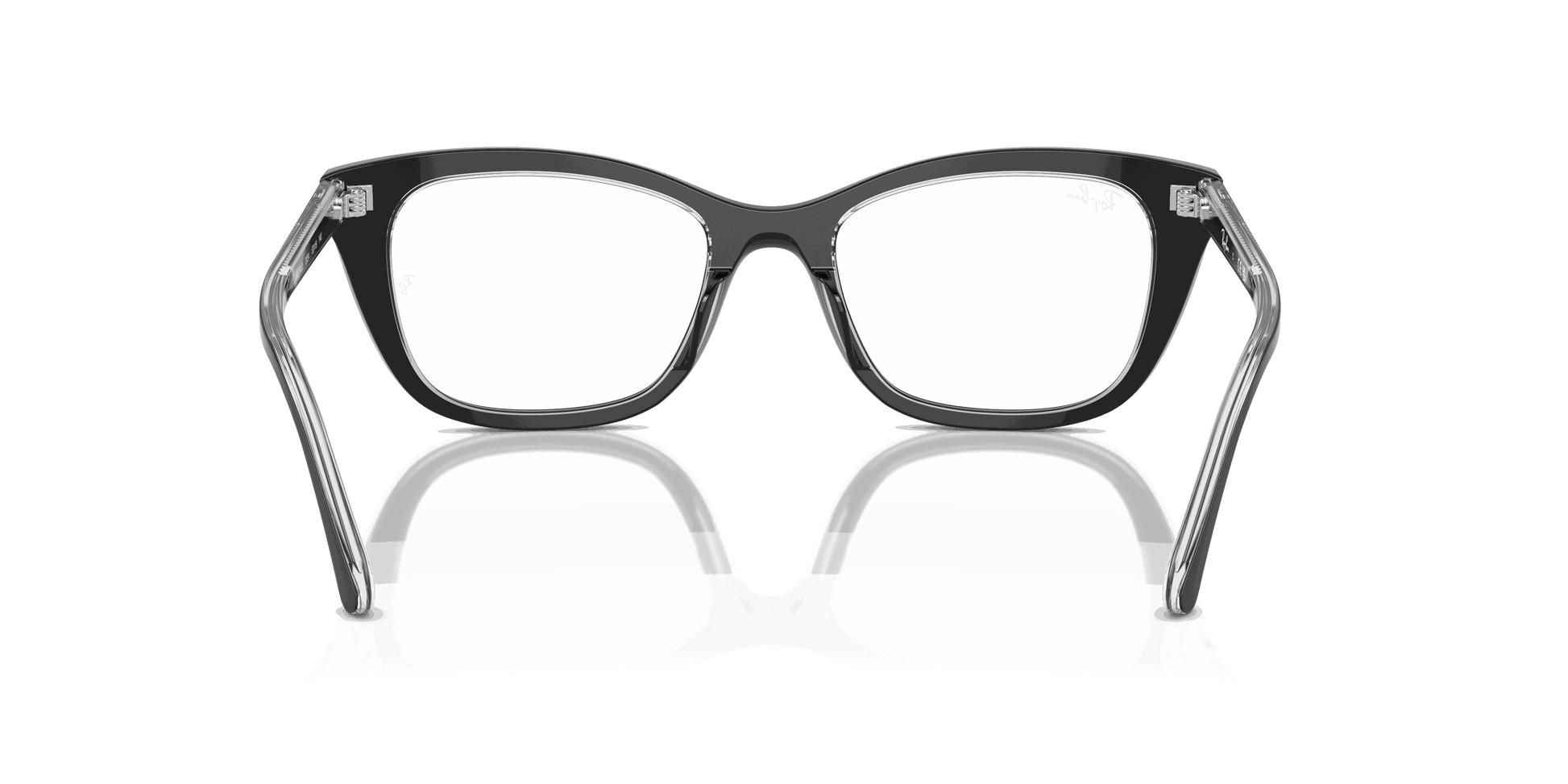 [Clear Lenses, Polished Black On Transparent Frame]