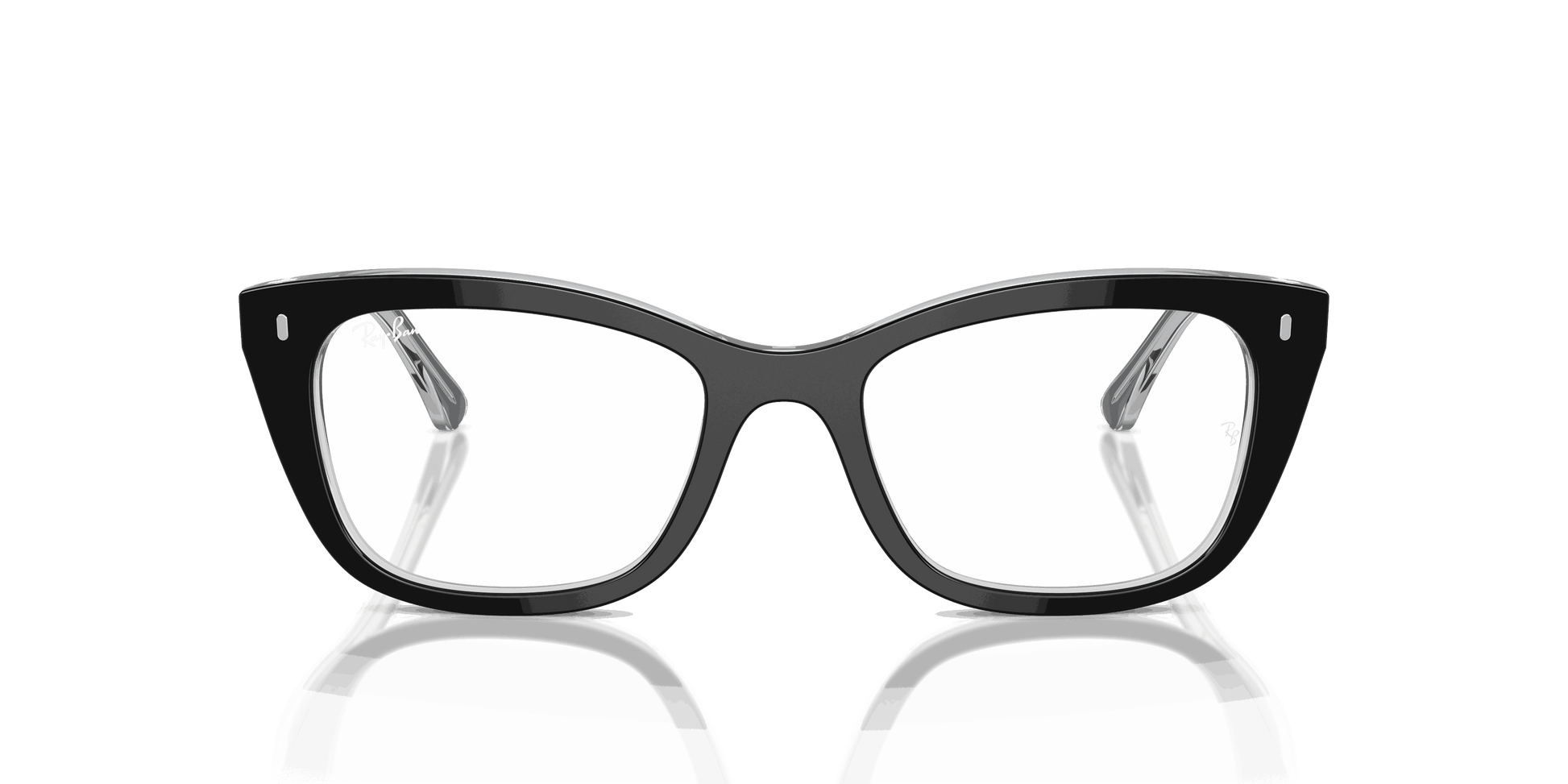 [Clear Lenses, Polished Black On Transparent Frame]
