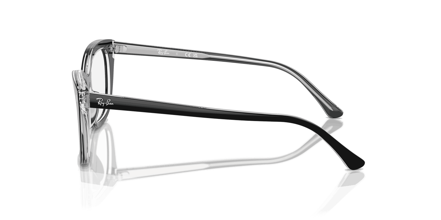 [Clear Lenses, Polished Black On Transparent Frame]