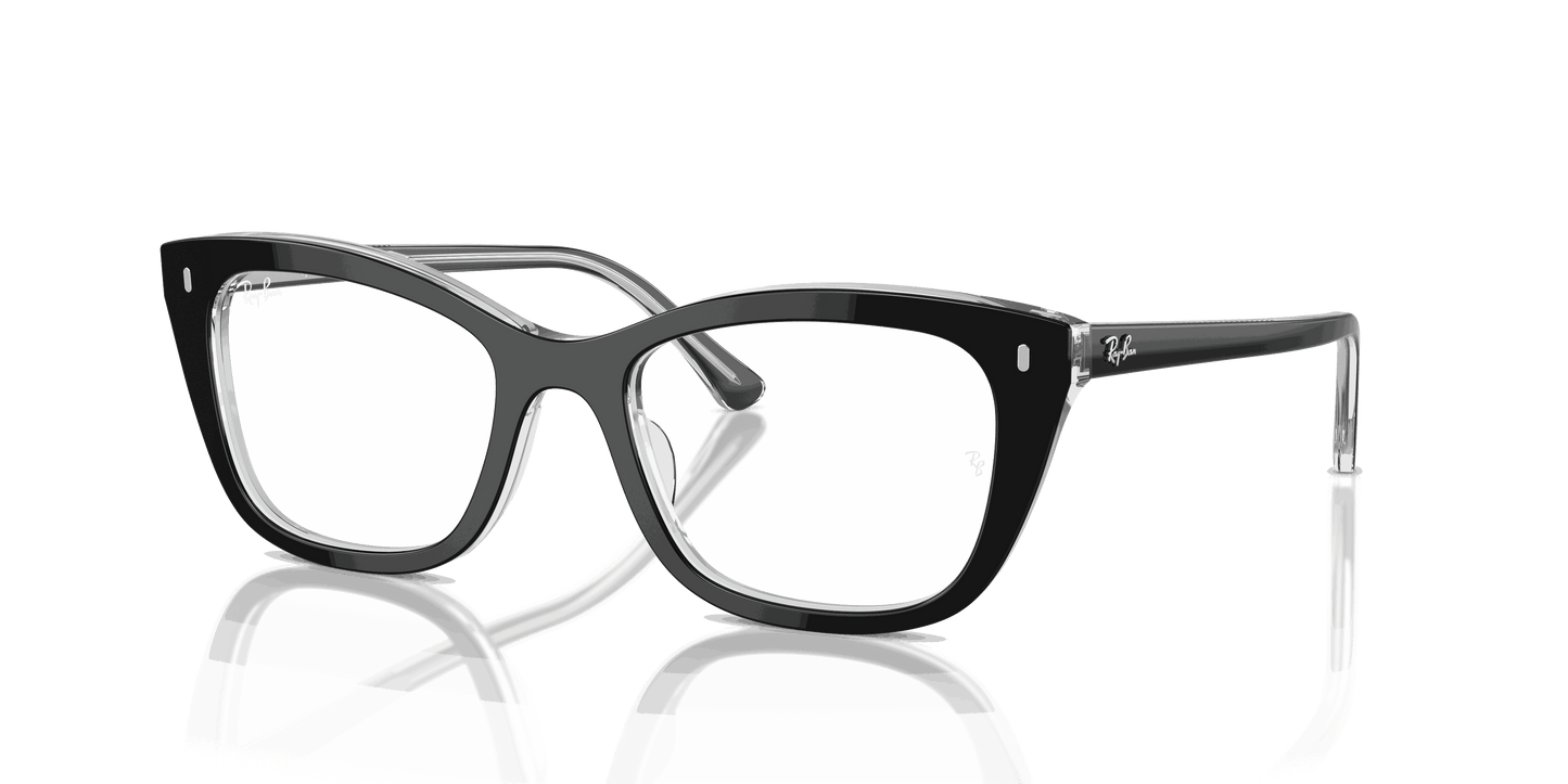 [Clear Lenses, Polished Black On Transparent Frame]