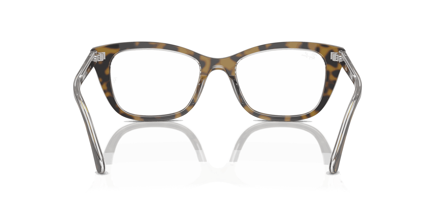 [Clear Lenses, Polished Havana On Transparent Frame]