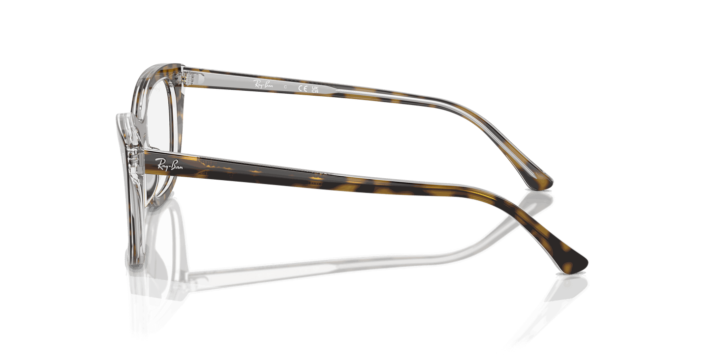 [Clear Lenses, Polished Havana On Transparent Frame]