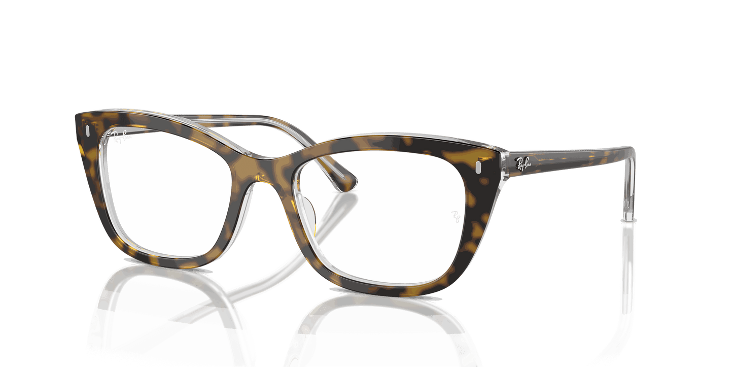 [Clear Lenses, Polished Havana On Transparent Frame]