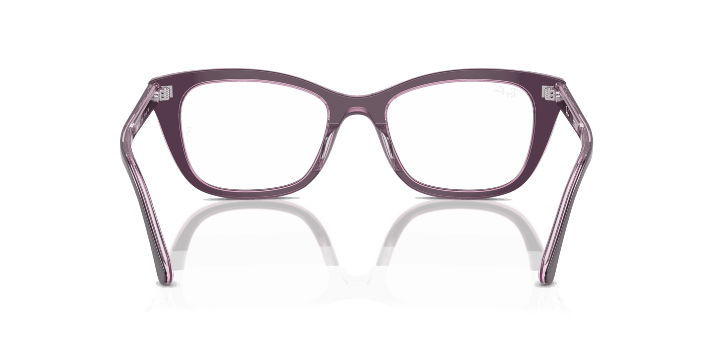 [Clear Lenses, Polished Violet On Transparent Pink Frame]