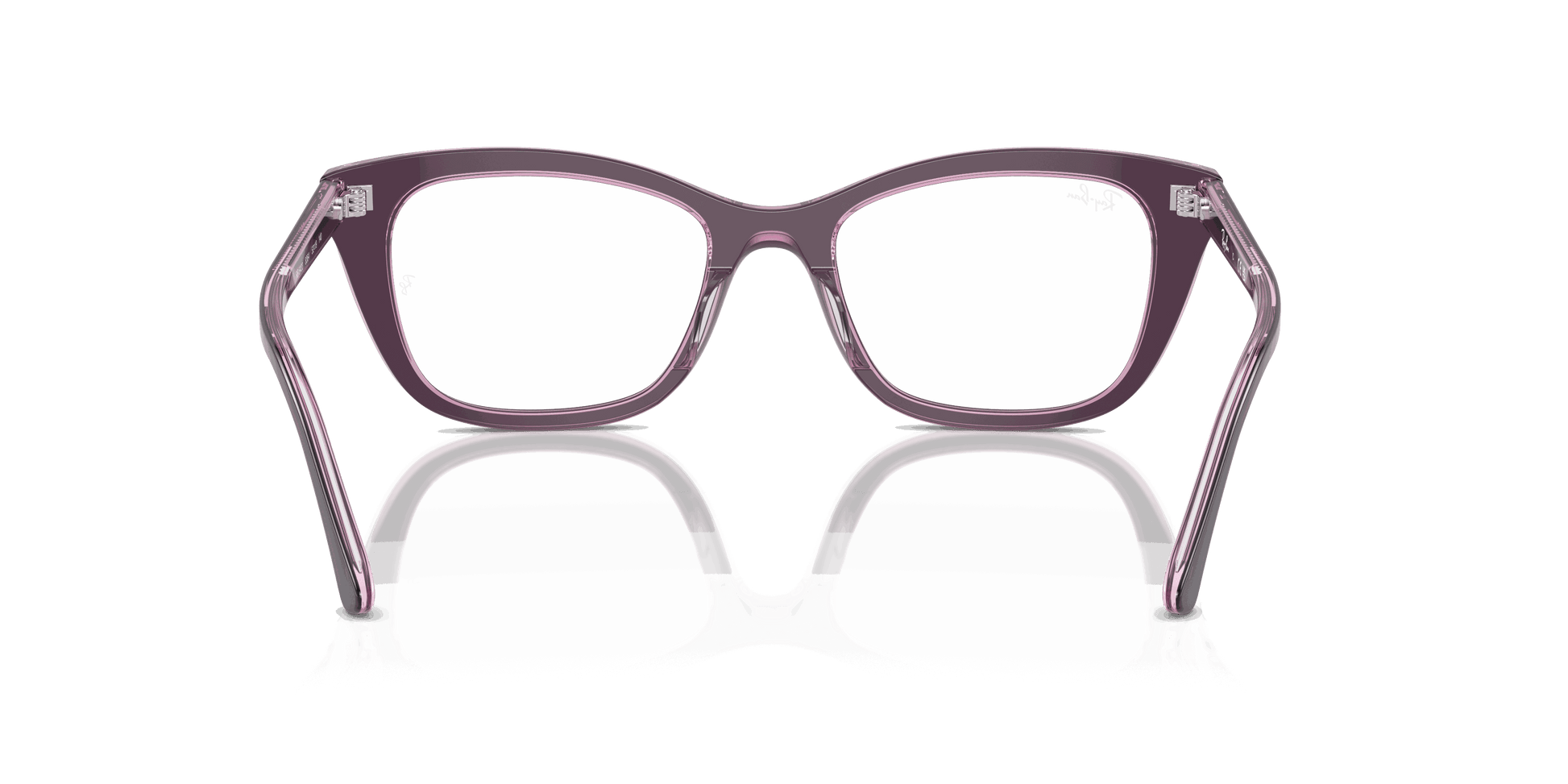 [Clear Lenses, Polished Violet On Transparent Pink Frame]