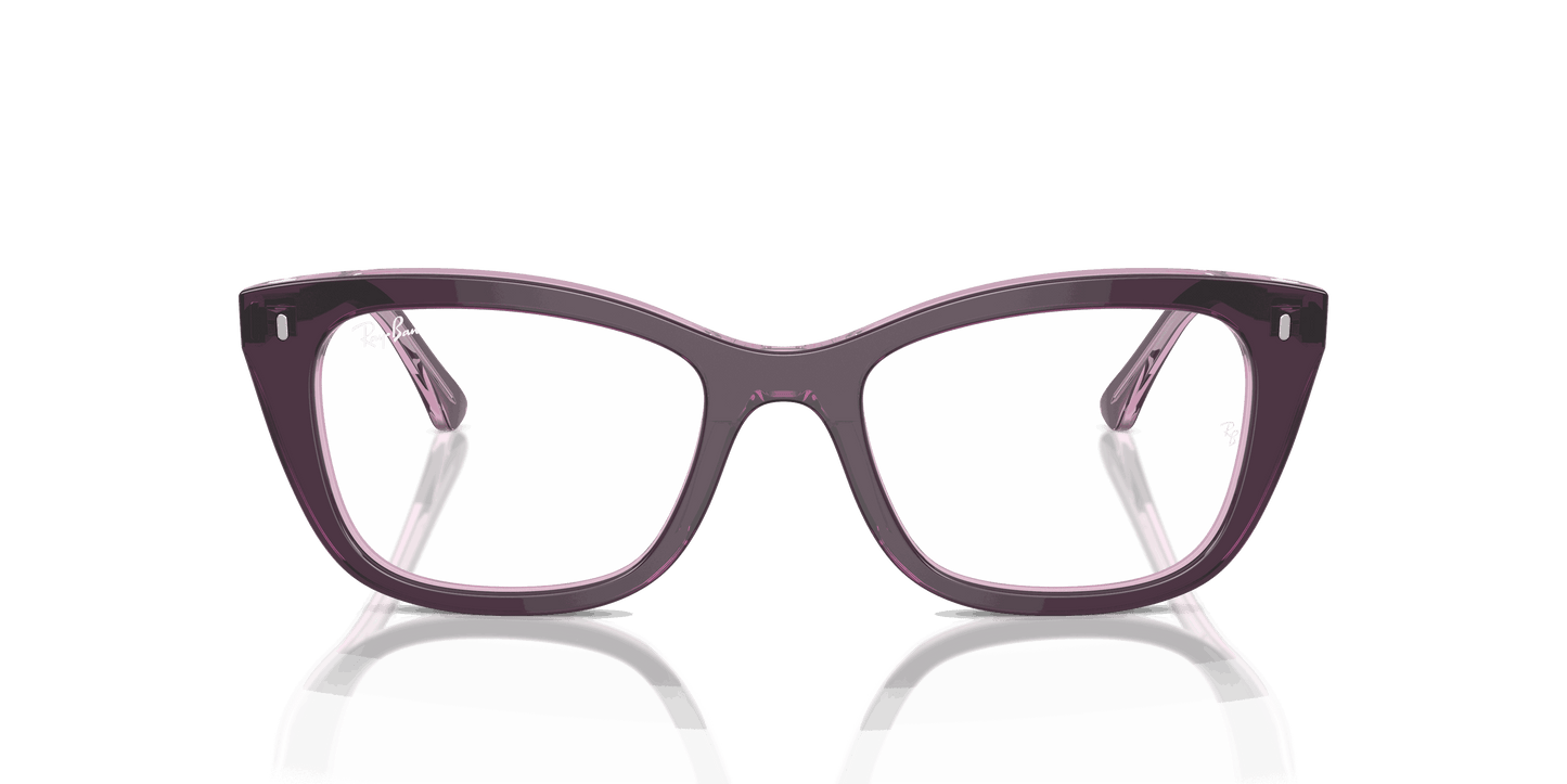 [Clear Lenses, Polished Violet On Transparent Pink Frame]
