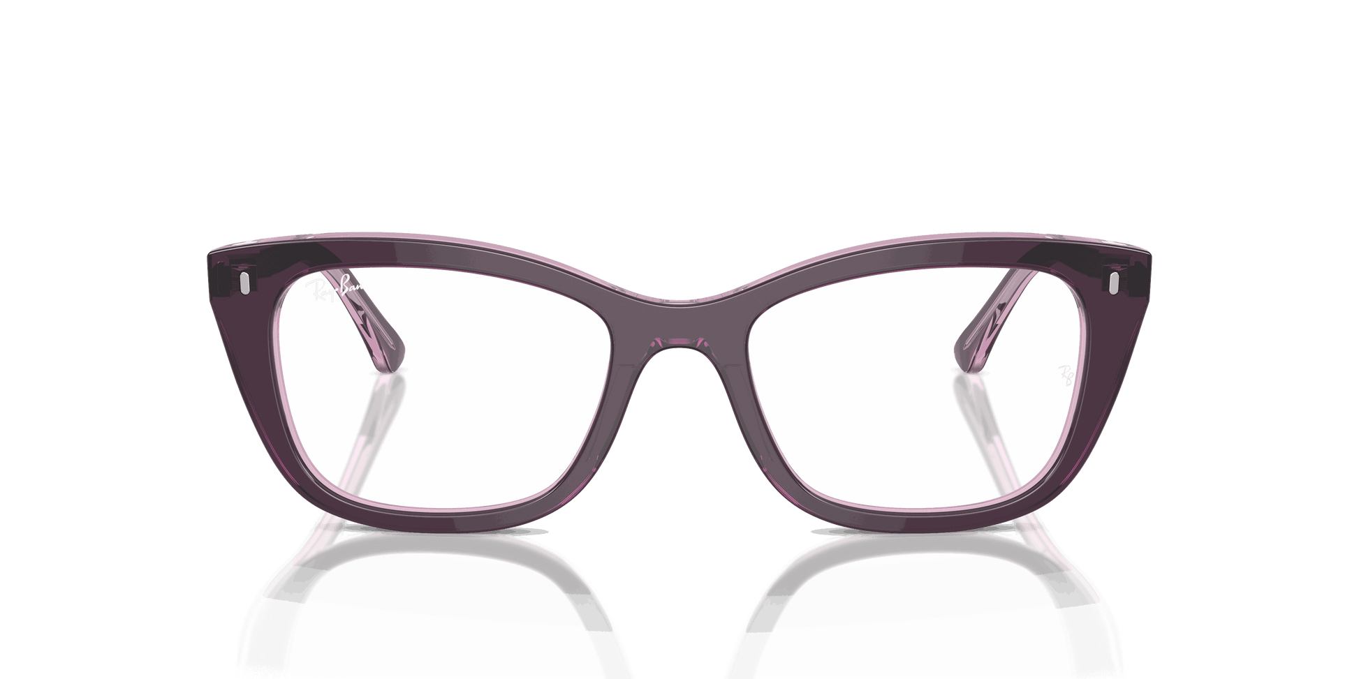 [Clear Lenses, Polished Violet On Transparent Pink Frame]