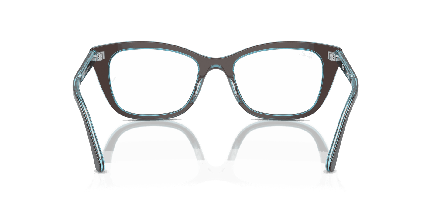 [Clear Lenses, Polished Brown On Transparent Blue Frame]