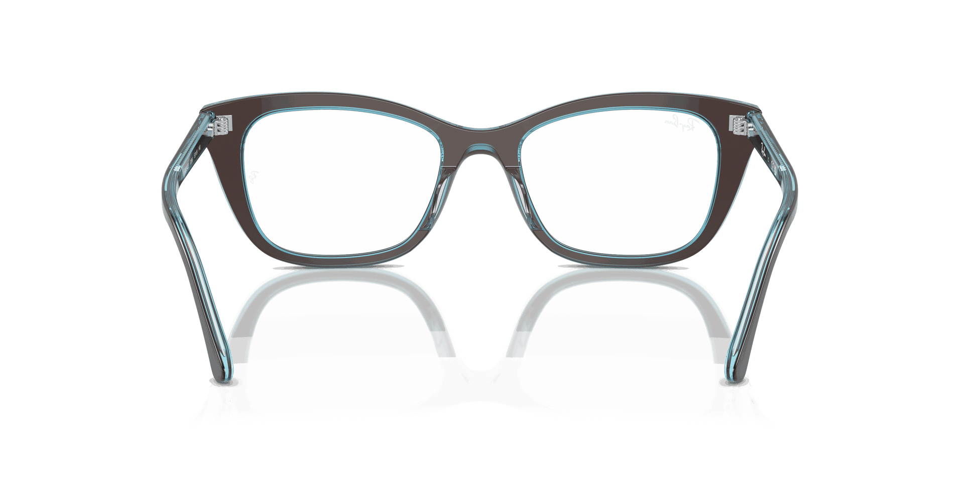 [Clear Lenses, Polished Brown On Transparent Blue Frame]