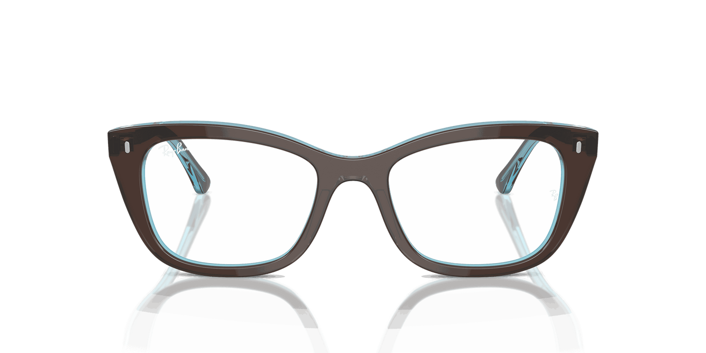 [Clear Lenses, Polished Brown On Transparent Blue Frame]