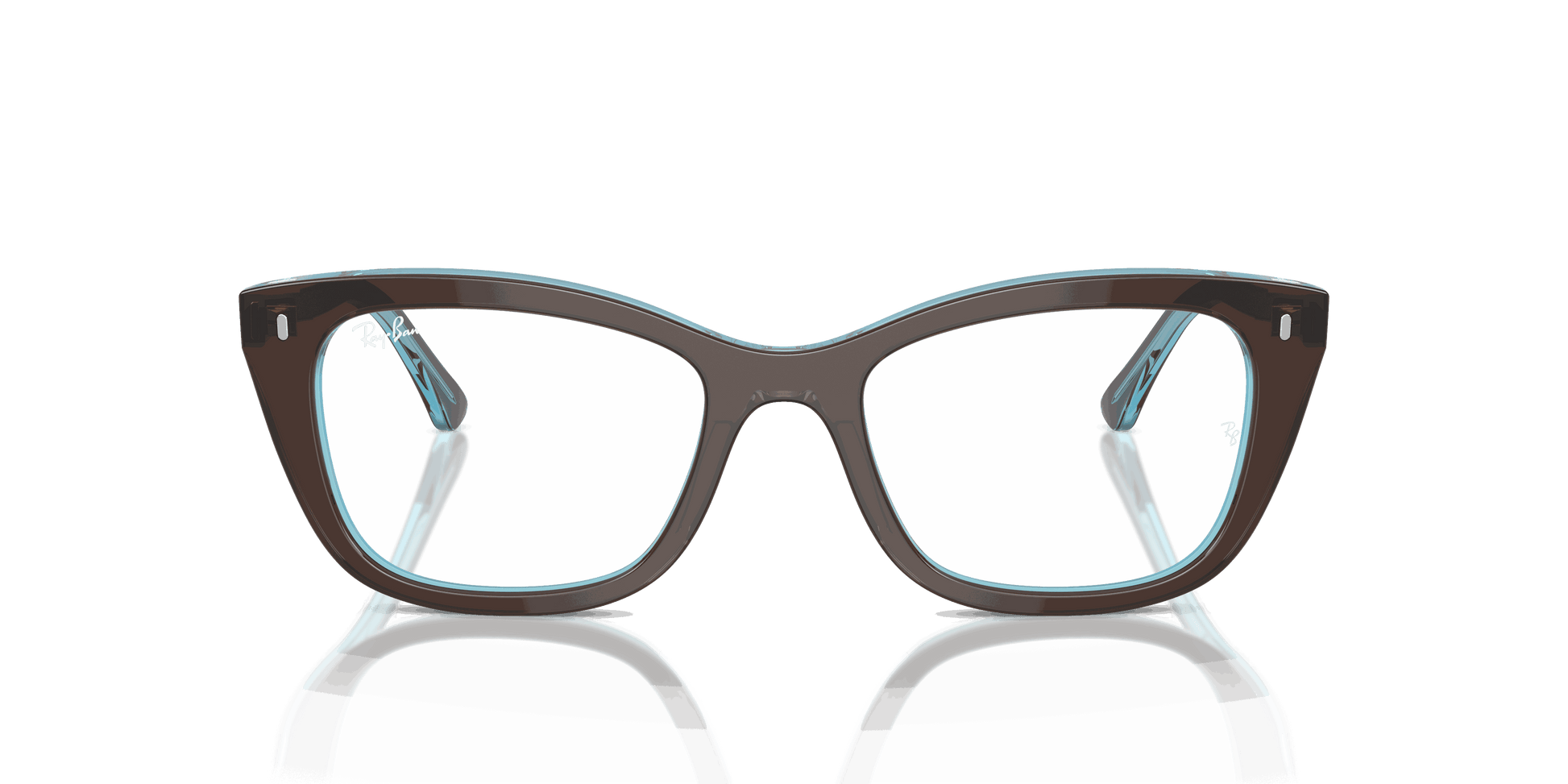 [Clear Lenses, Polished Brown On Transparent Blue Frame]