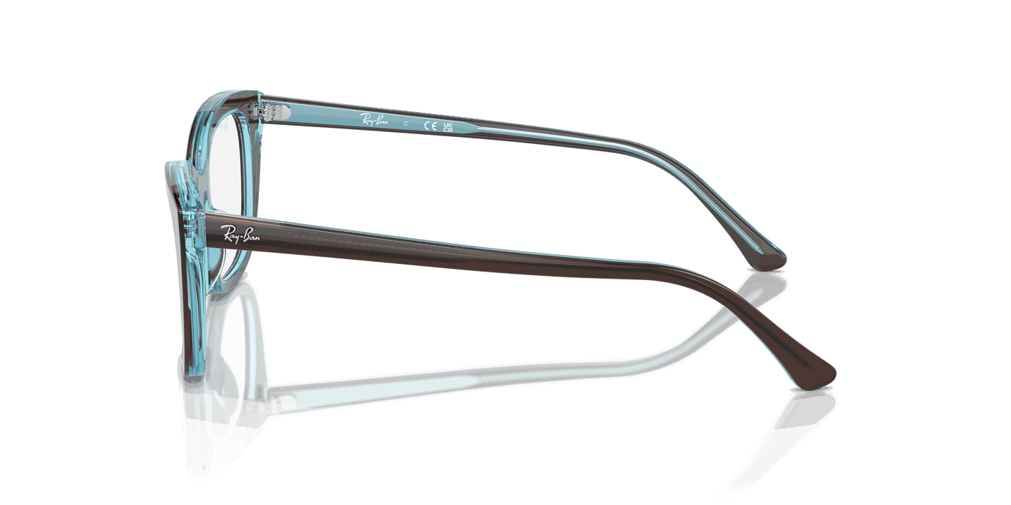 [Clear Lenses, Polished Brown On Transparent Blue Frame]