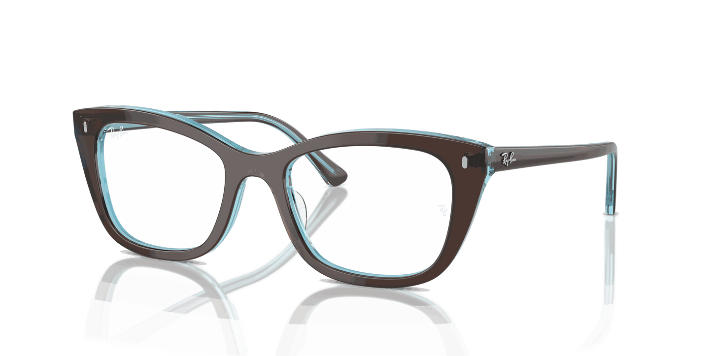 [Clear Lenses, Polished Brown On Transparent Blue Frame]
