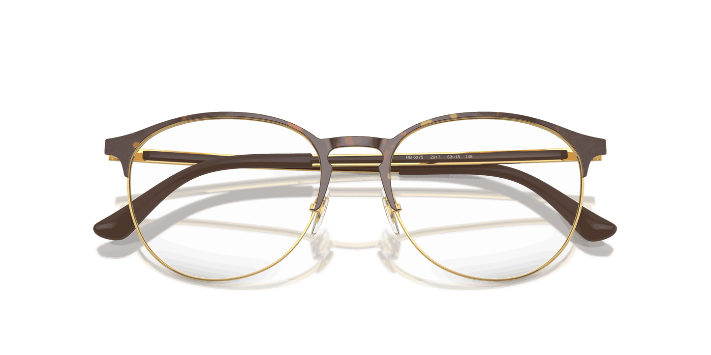 [Clear Lenses, Polished Havana On Gold Frame]