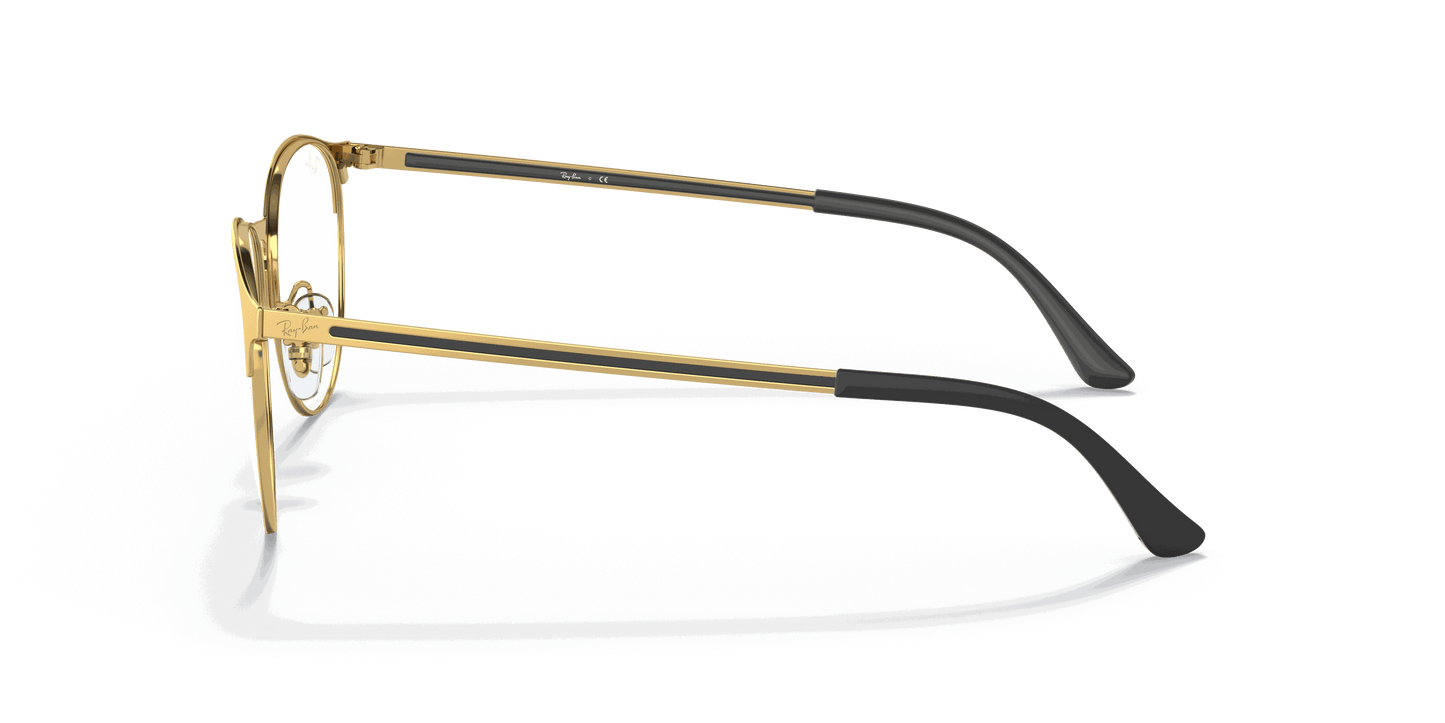 [Clear Lenses, Matte Gold Frame]