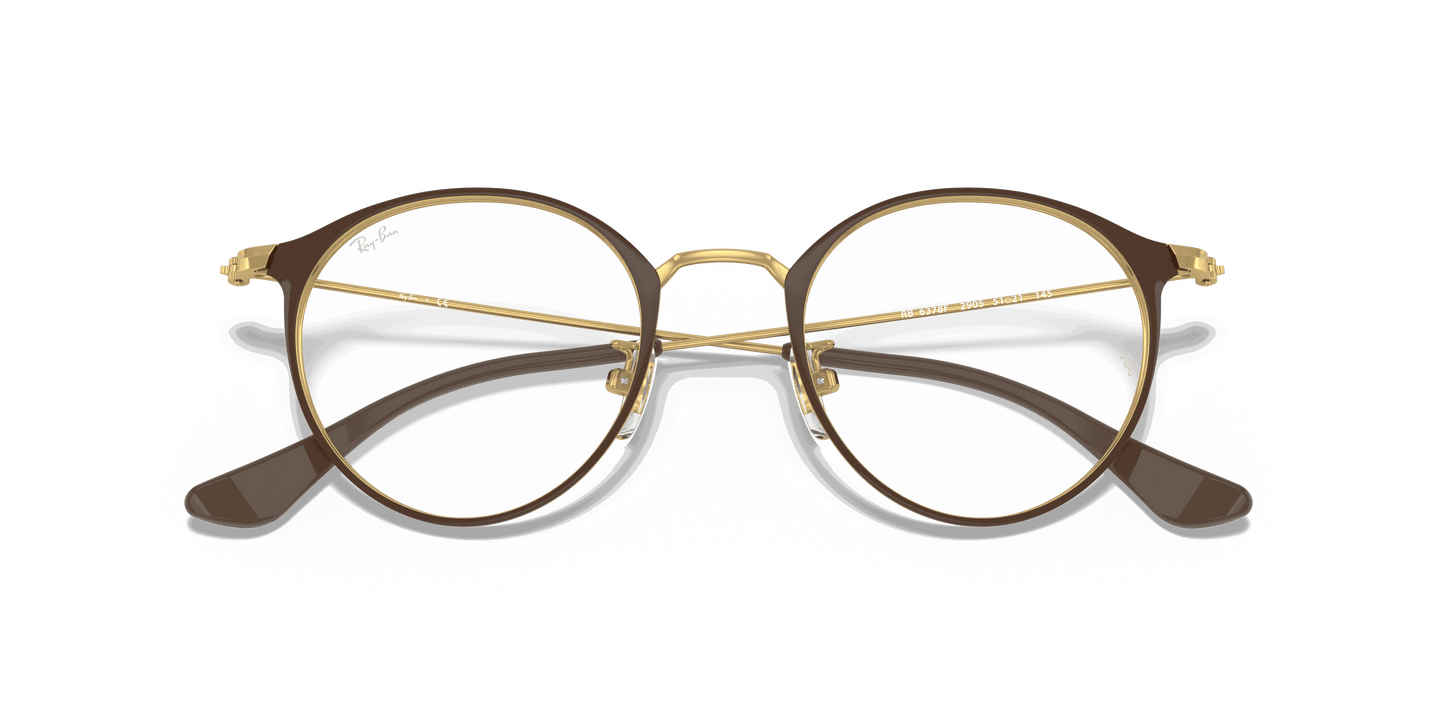 [Clear Lenses, Polished Brown On Gold Frame]