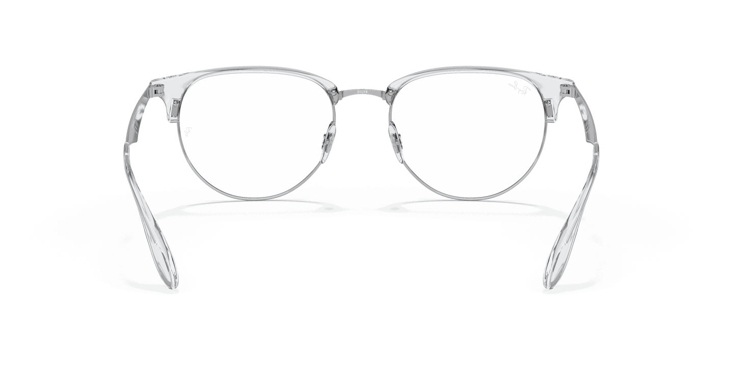 [Clear Lenses, Polished Silver Frame]
