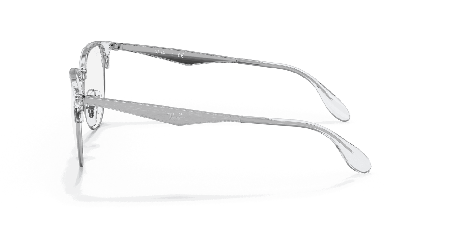 [Clear Lenses, Polished Silver Frame]
