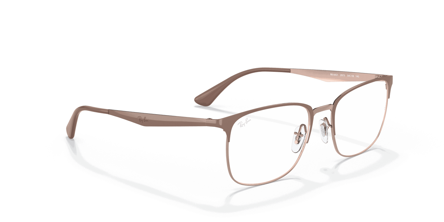 [Clear Lenses, Polished Beige On Copper Frame]