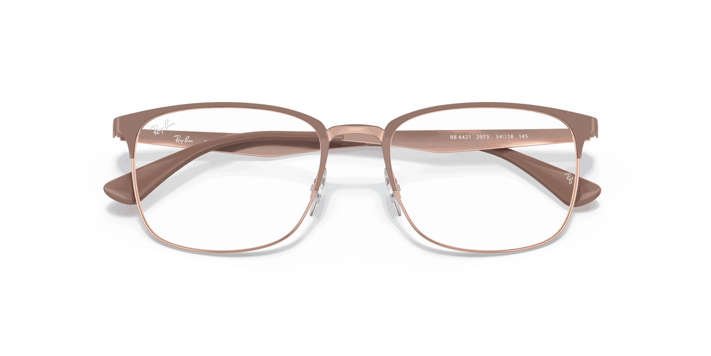 [Clear Lenses, Polished Beige On Copper Frame]