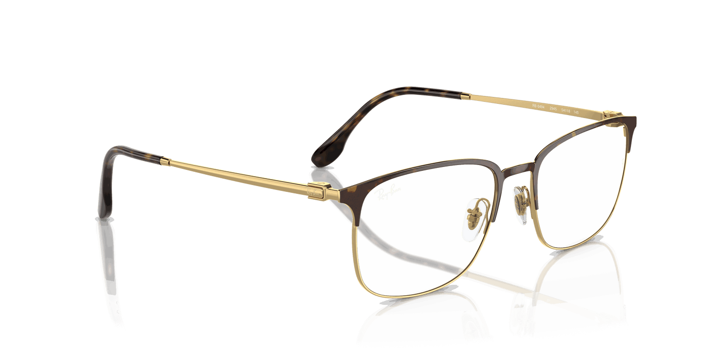 [Clear Lenses, Polished Havana On Gold Frame]