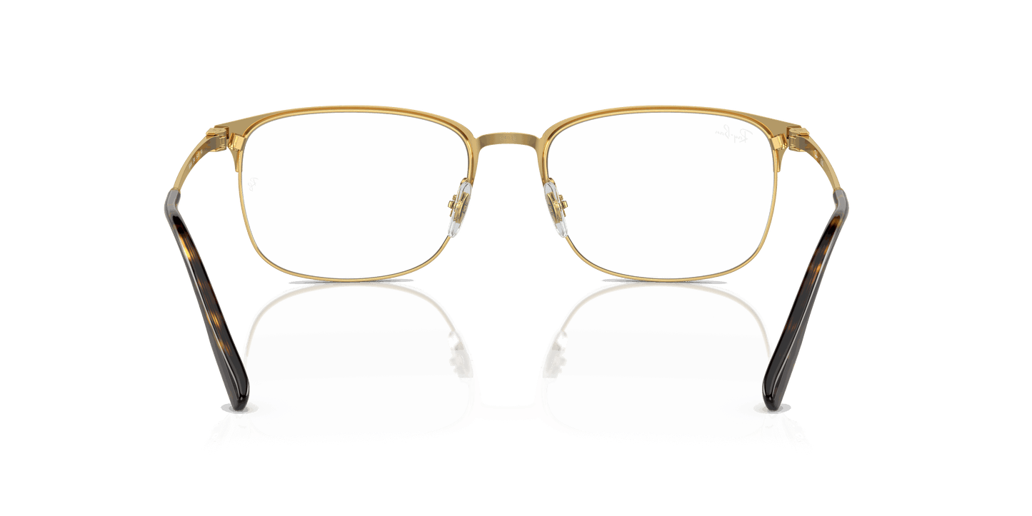 [Clear Lenses, Polished Havana On Gold Frame]