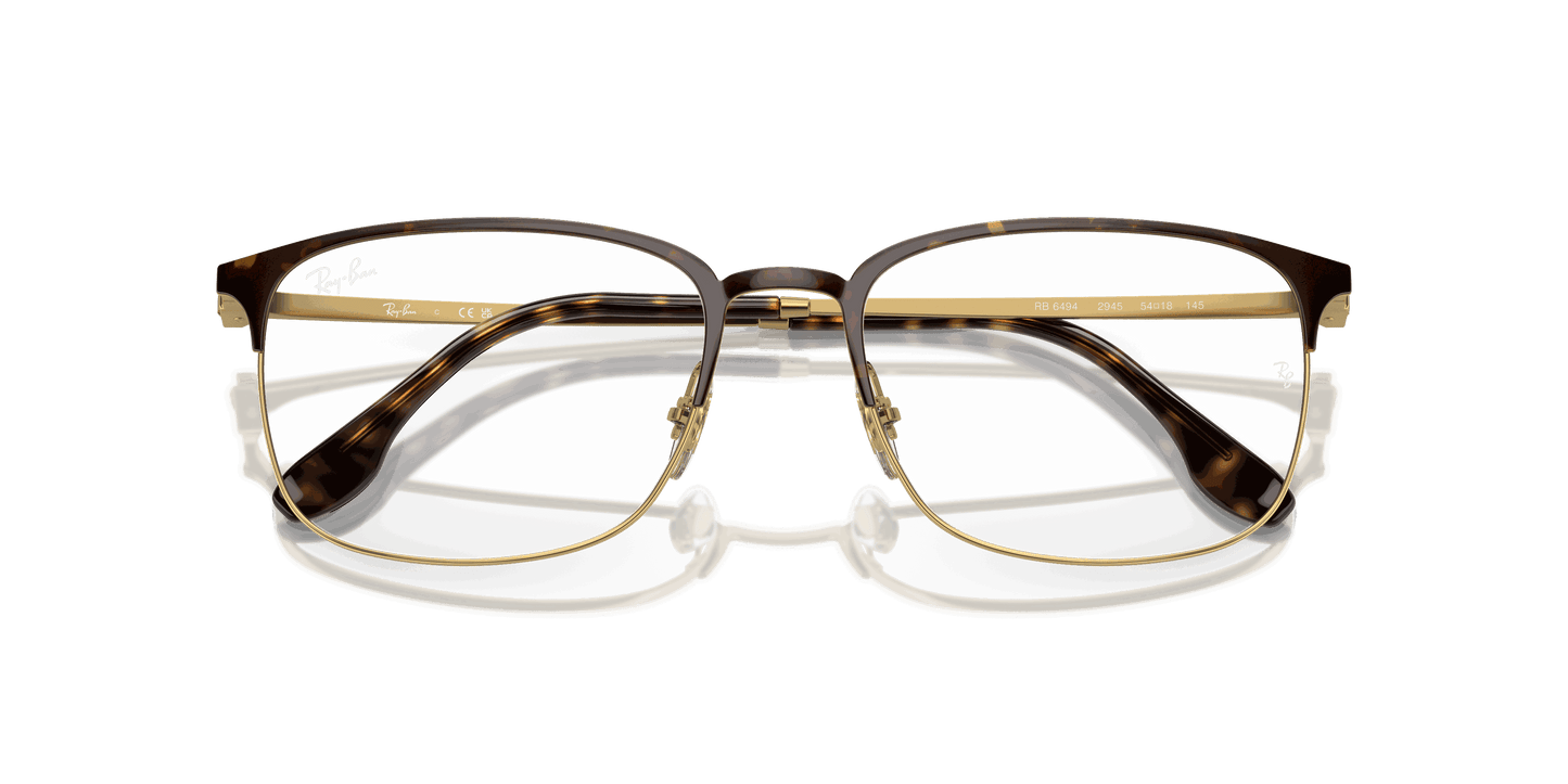 [Clear Lenses, Polished Havana On Gold Frame]