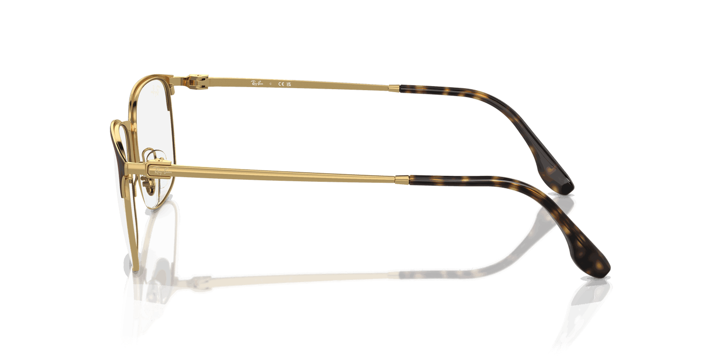 [Clear Lenses, Polished Havana On Gold Frame]