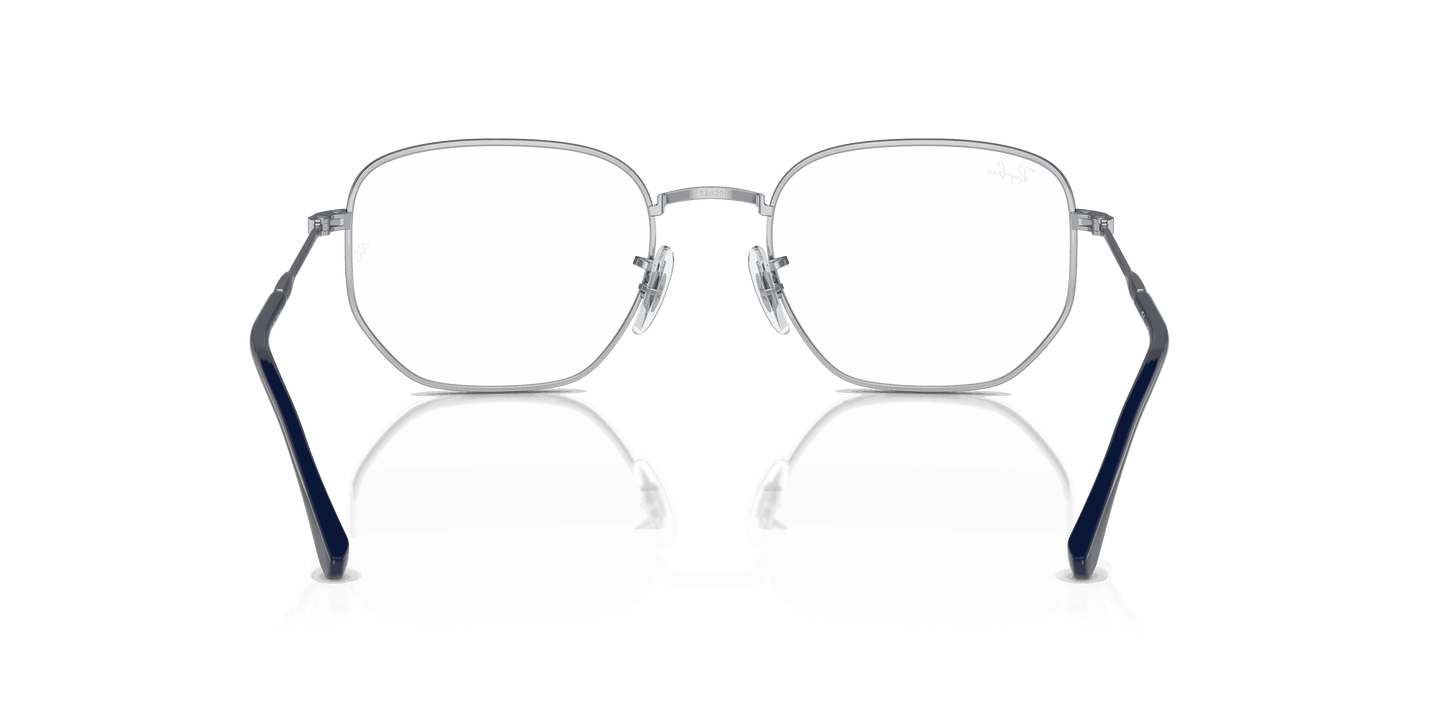 [Clear Lenses, Polished Silver Frame]