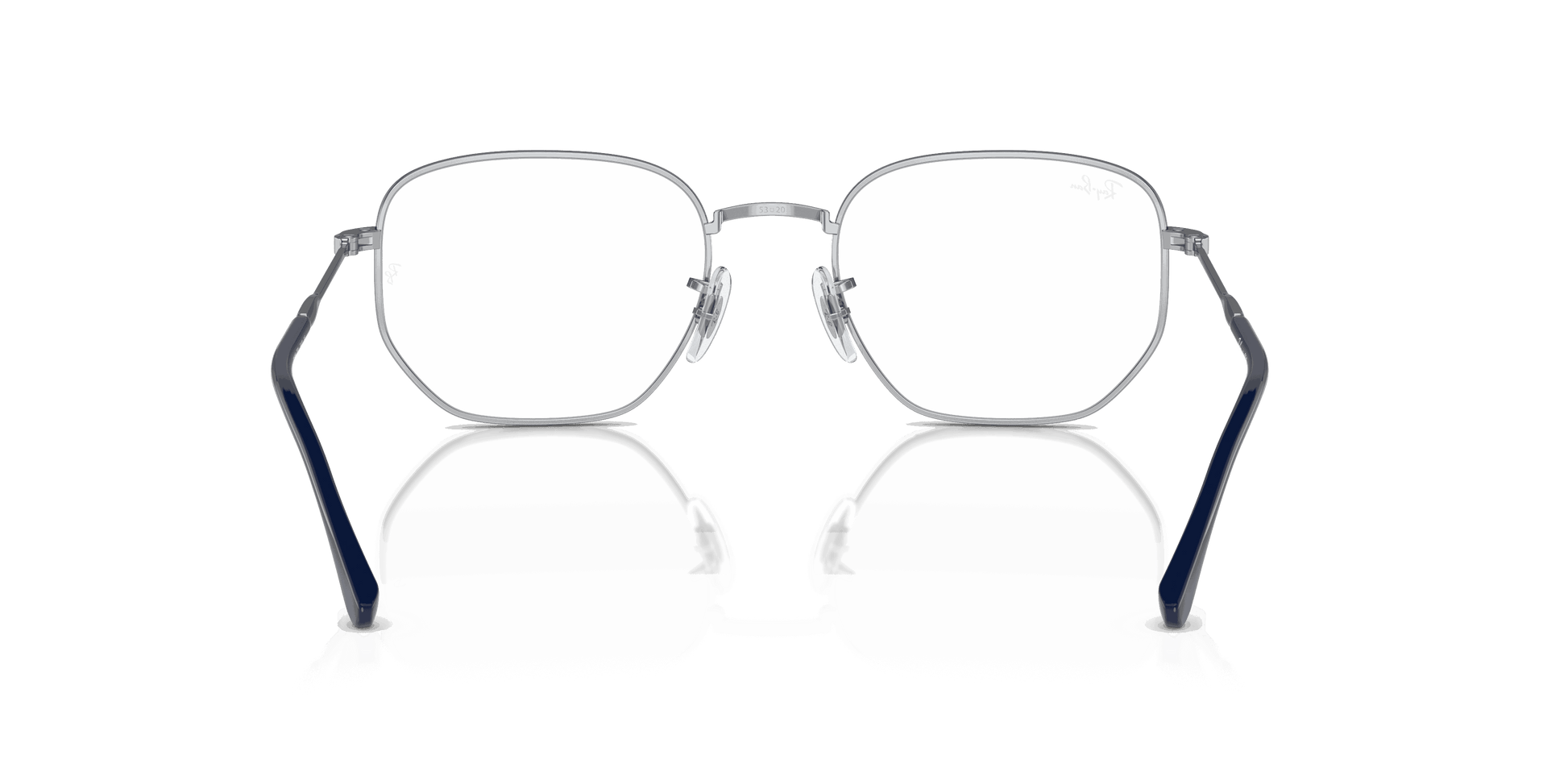 [Clear Lenses, Polished Silver Frame]