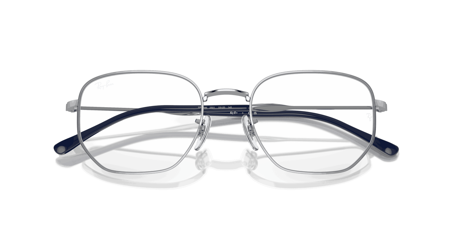 [Clear Lenses, Polished Silver Frame]