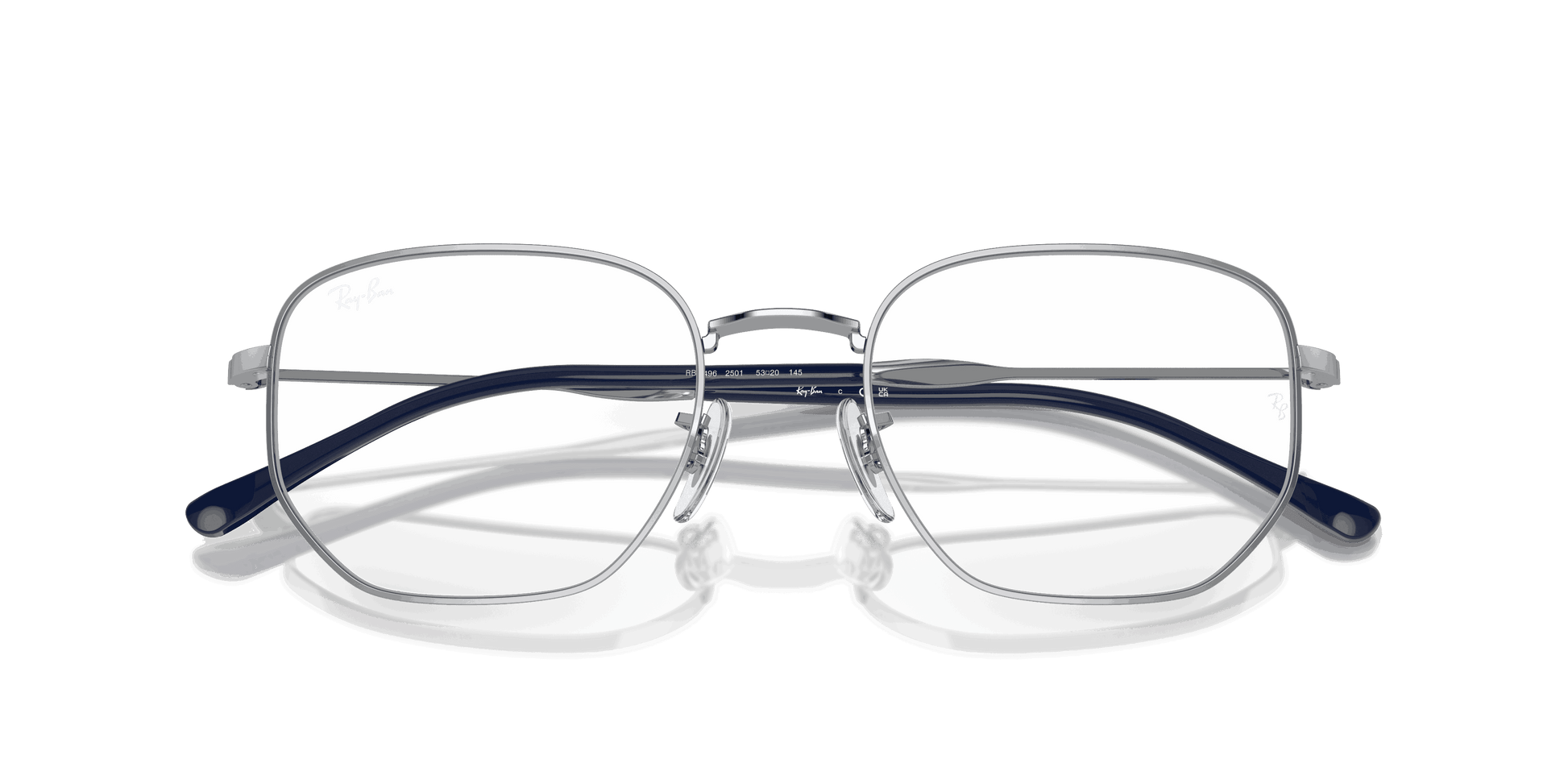 [Clear Lenses, Polished Silver Frame]