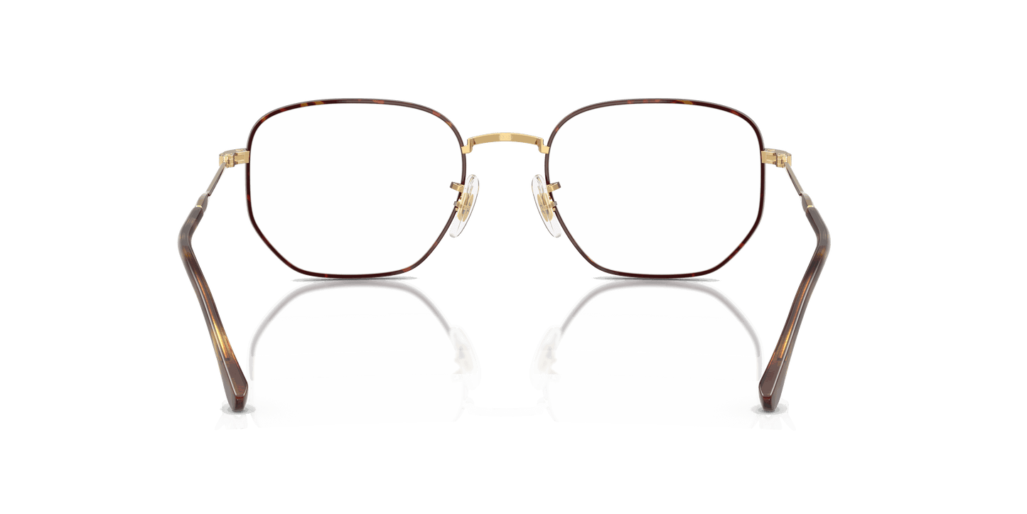 [Clear Lenses, Polished Havana On Arista Frame]