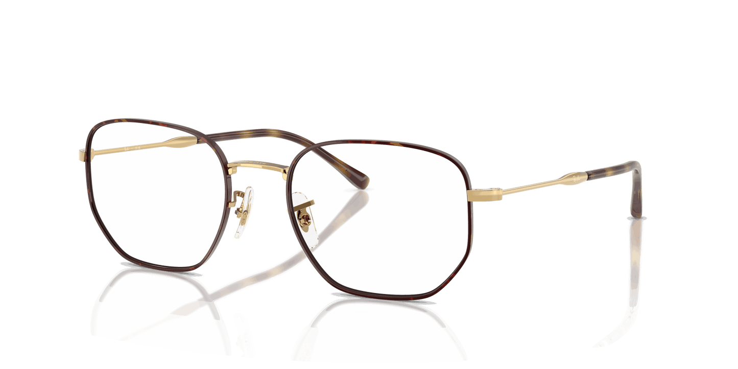 [Clear Lenses, Polished Havana On Arista Frame]