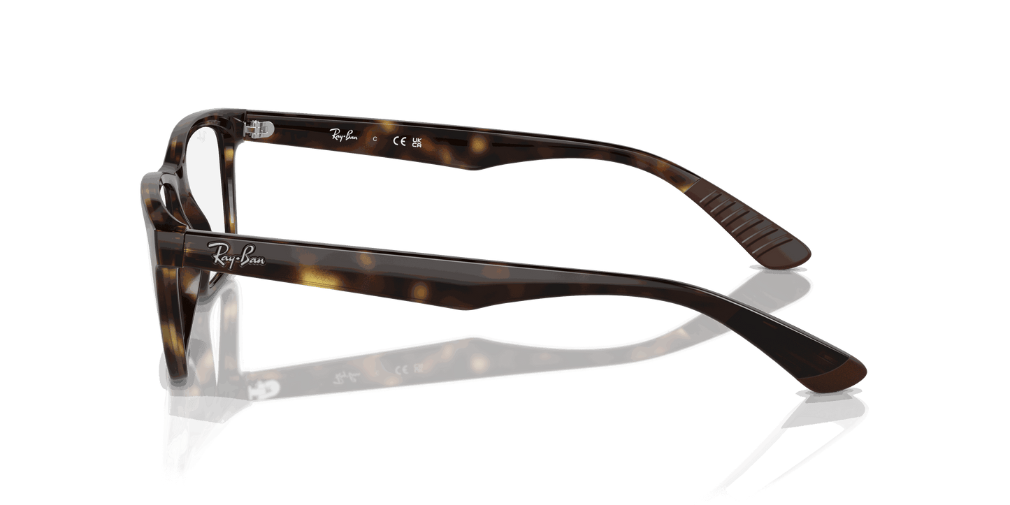 [Clear Lenses, Matte Havana Frame]