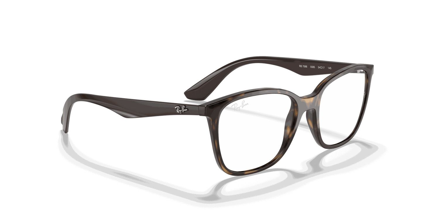 [Clear Lenses, Polished Havana Frame]