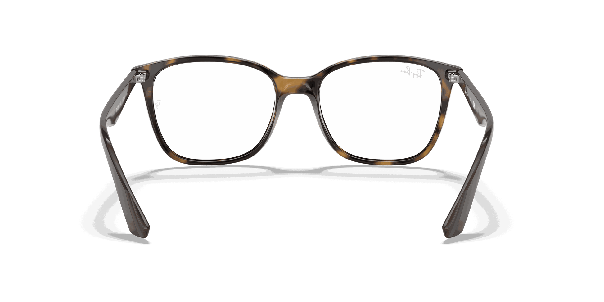[Clear Lenses, Polished Havana Frame]