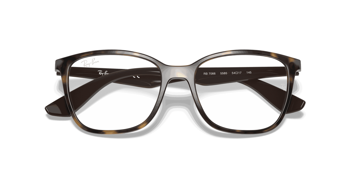 [Clear Lenses, Polished Havana Frame]