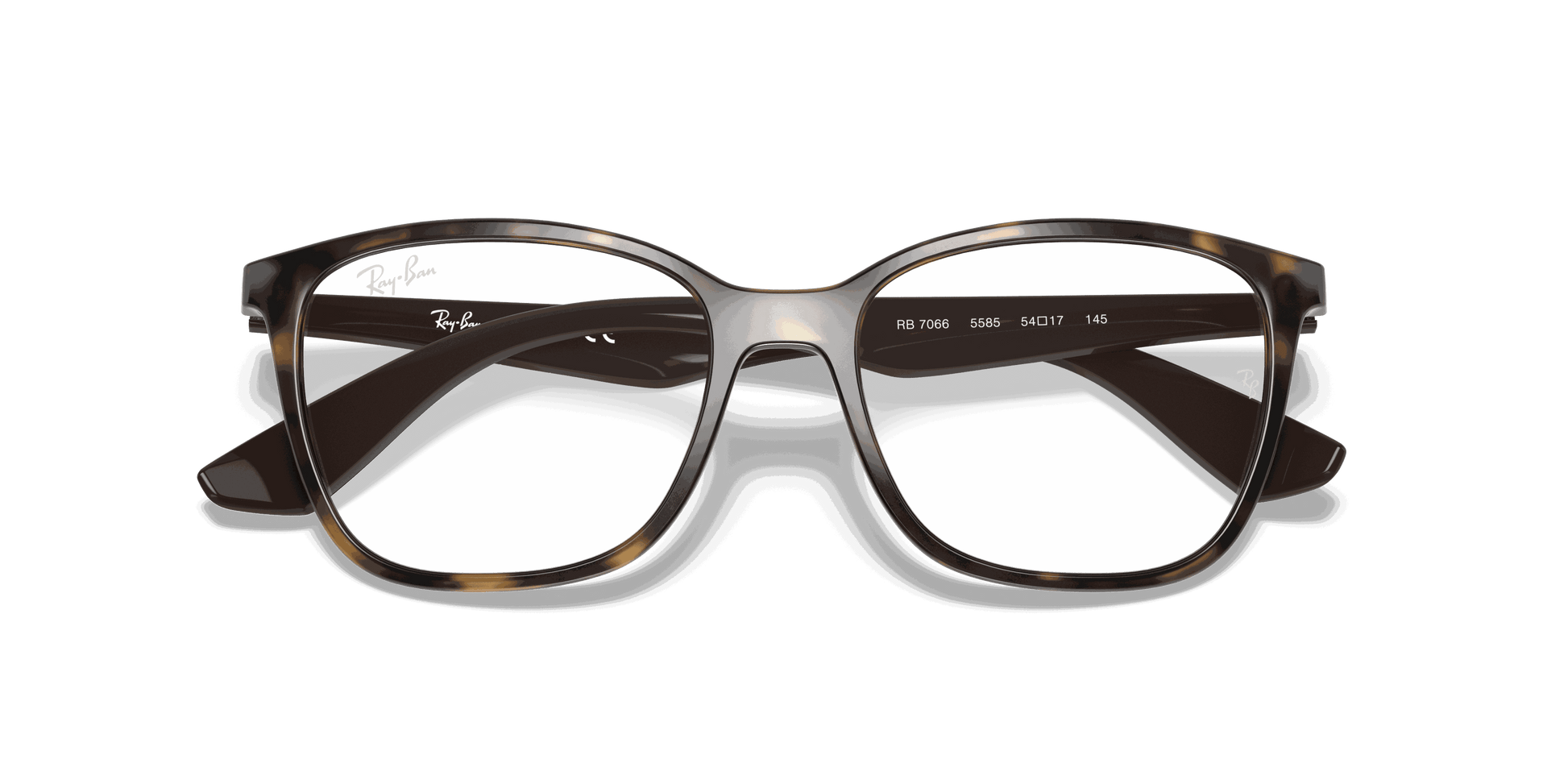[Clear Lenses, Polished Havana Frame]