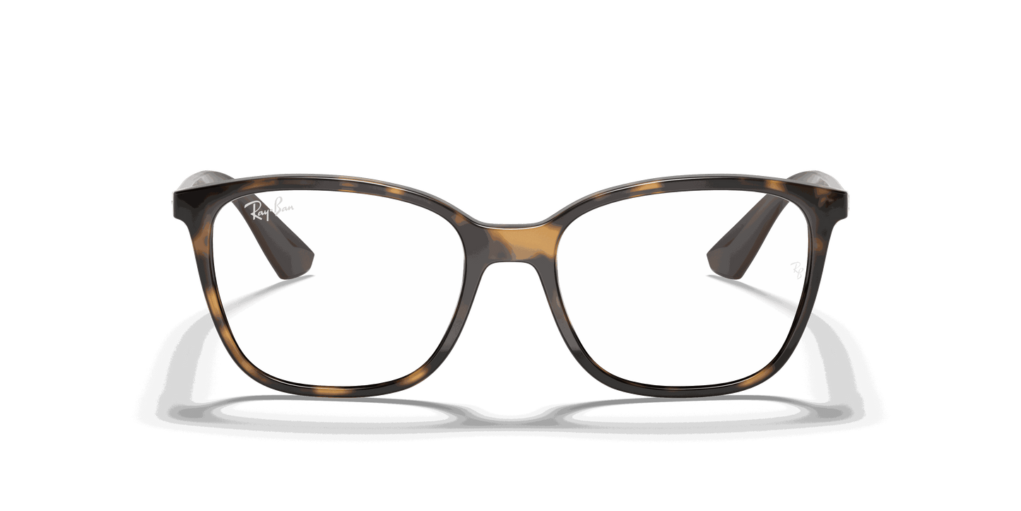 [Clear Lenses, Polished Havana Frame]