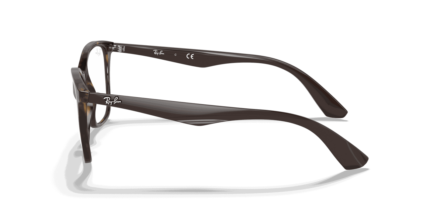 [Clear Lenses, Polished Havana Frame]