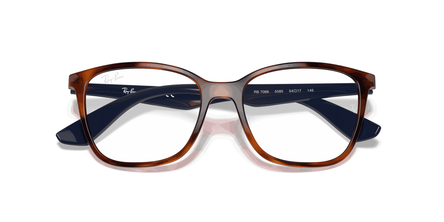 [Clear Lenses, Polished Light Havana Frame]