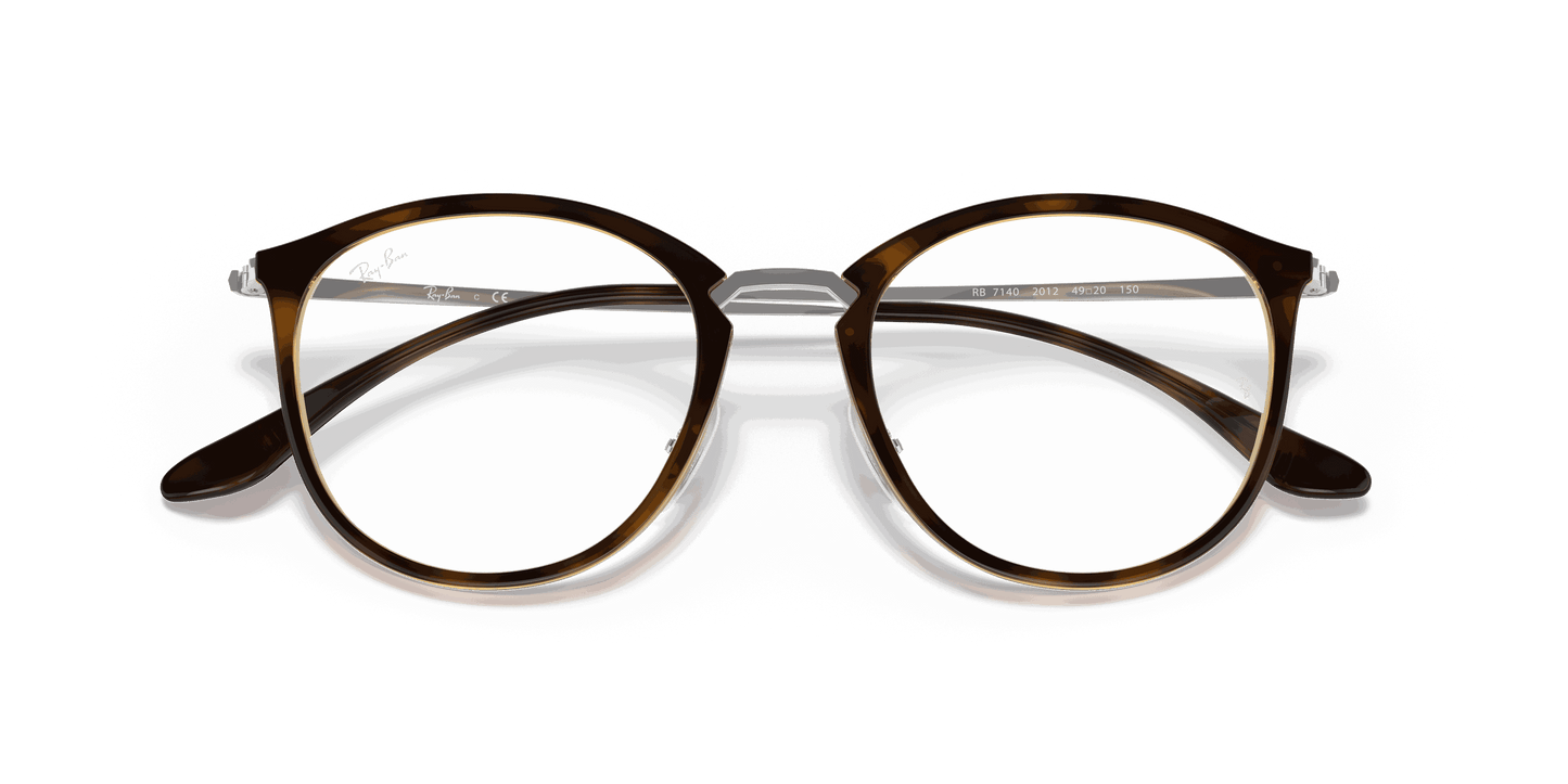 [Clear Lenses, Polished Havana Frame]