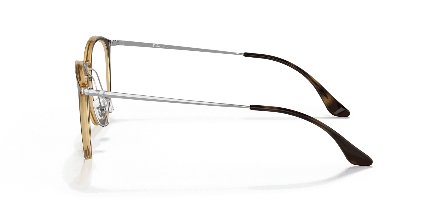 [Clear Lenses, Polished Havana Frame]