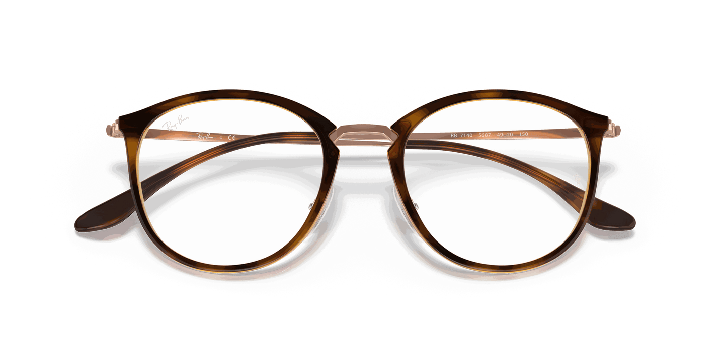 [Clear Lenses, Polished Striped Havana Frame]